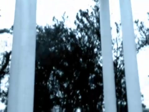 Рис. 55. 559 кадр по счёту, находится на 00:00:17 секунде.