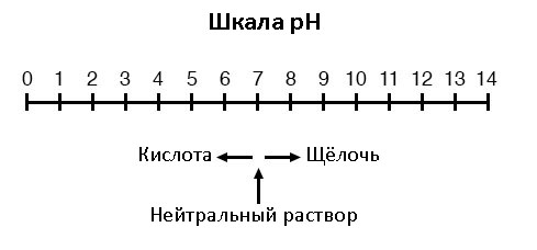 Рис. 1. Шкала pH.