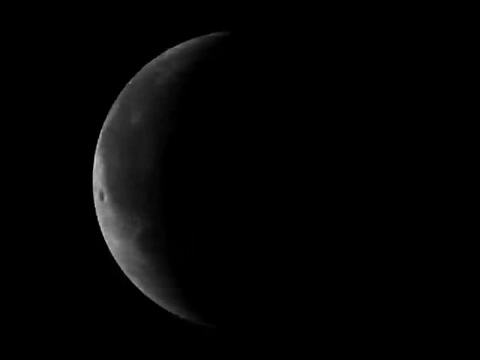 Рис. 40. 542 кадр по счёту, находится на 00:00:17 секунде.